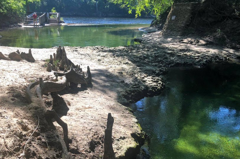 Lafayette Blue Springs State Park, Florida, USA
